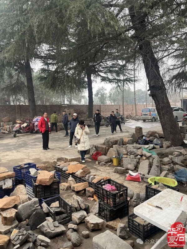 挖掘济源纹石“上古文明的石质遗存”价值