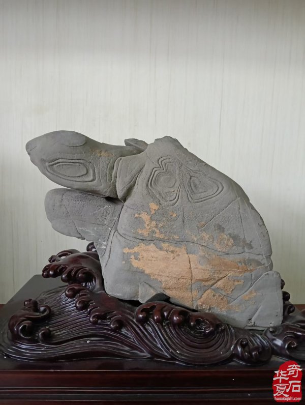 挖掘济源纹石“上古文明的石质遗存”价值