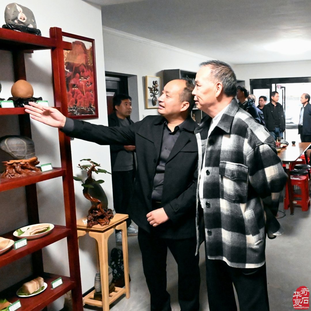 伊川赏石 逆袭而上 砥砺前行