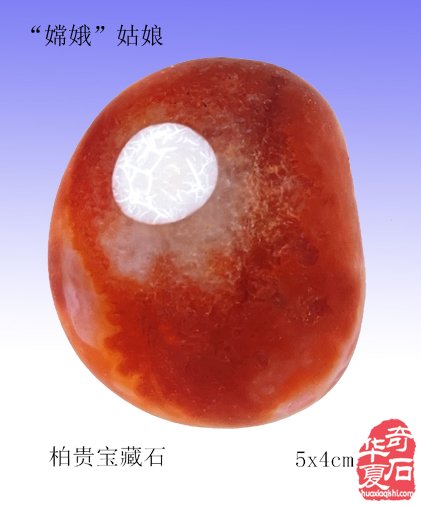 我与奇石“嫦娥”有姻缘 图