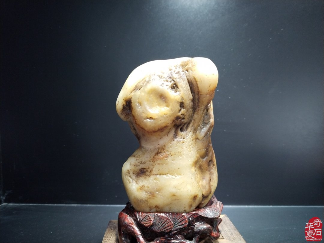 淮安藏石家陳凡先生的奇石《伯牙抚琴》