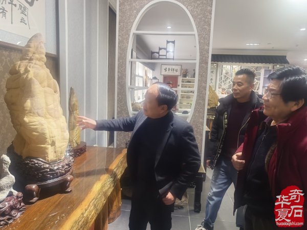 淮南市观赏石协会举办2026年迎春茶话会