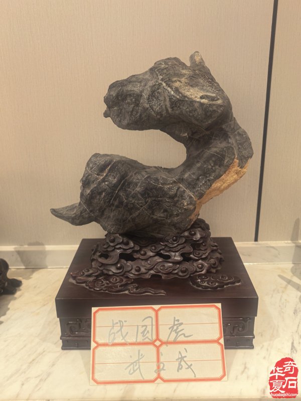 淮南市观赏石协会举办2026年迎春茶话会