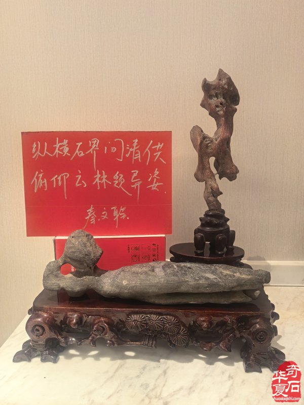 淮南市观赏石协会举办2026年迎春茶话会