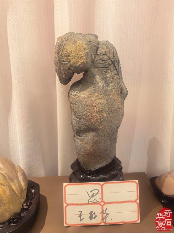 淮南市观赏石协会举办2026年迎春茶话会