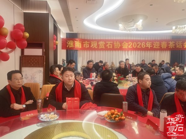 淮南市观赏石协会举办2026年迎春茶话会