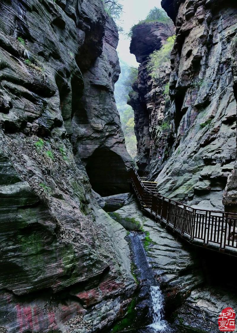 奇石《风韵·水韵》 ——大自然的见证 图