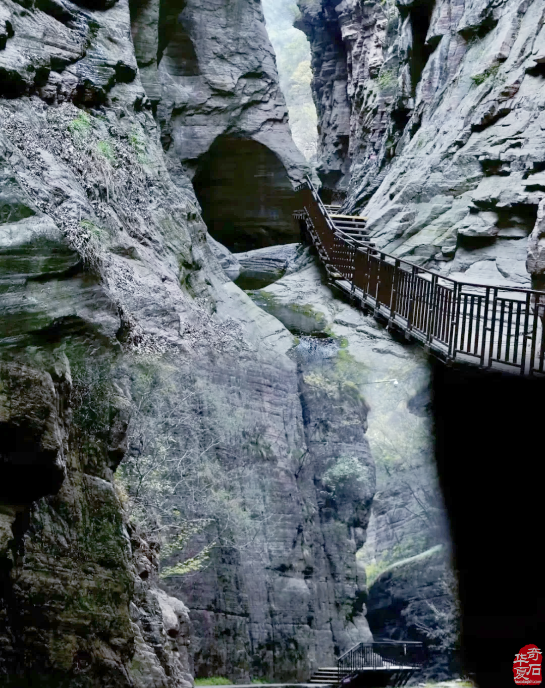 奇石《风韵·水韵》 ——大自然的见证 图