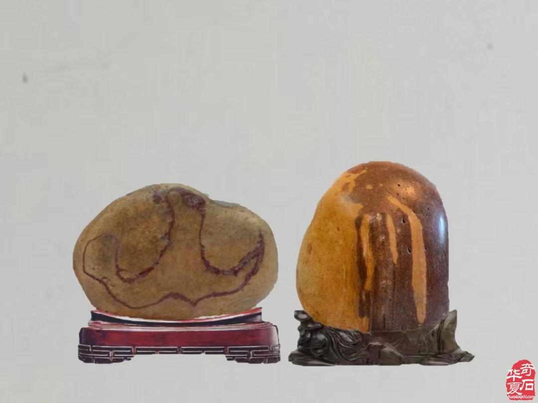 醉石翁新春分享赏石带来的快乐 图