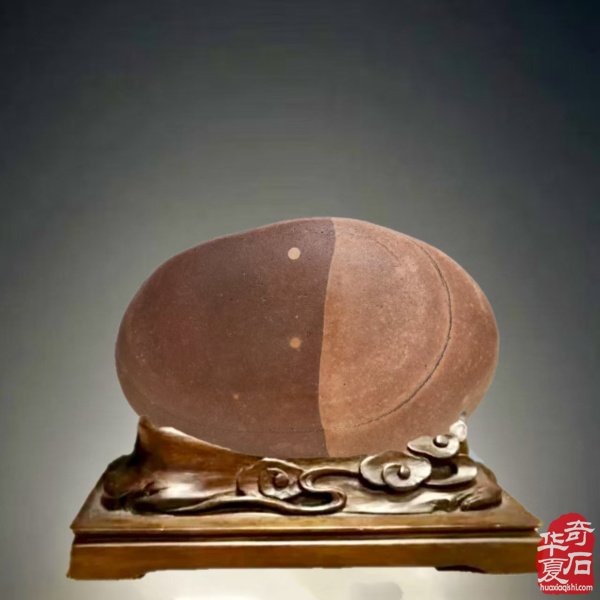 醉石翁新春分享赏石带来的快乐 图