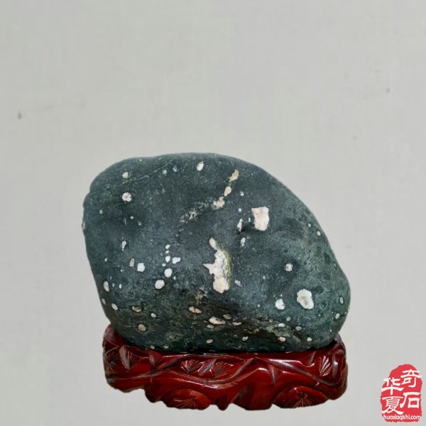 醉石翁新春分享赏石带来的快乐 图