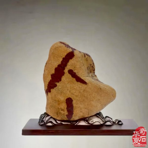 醉石翁新春分享赏石带来的快乐 图