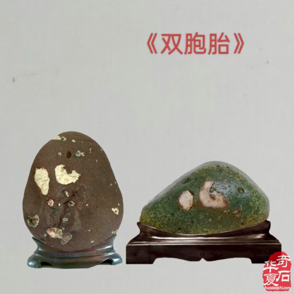 醉石翁新春分享赏石带来的快乐 图