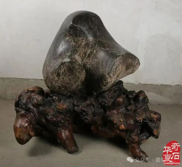 矢志不渝走进石头世界的人得悟“石道无涯”