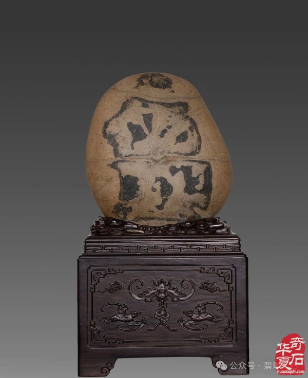 矢志不渝走进石头世界的人得悟“石道无涯”