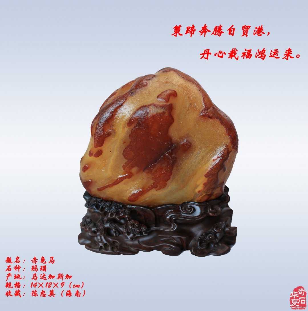 石韵骏风开新运 五骥呈祥贺锦程