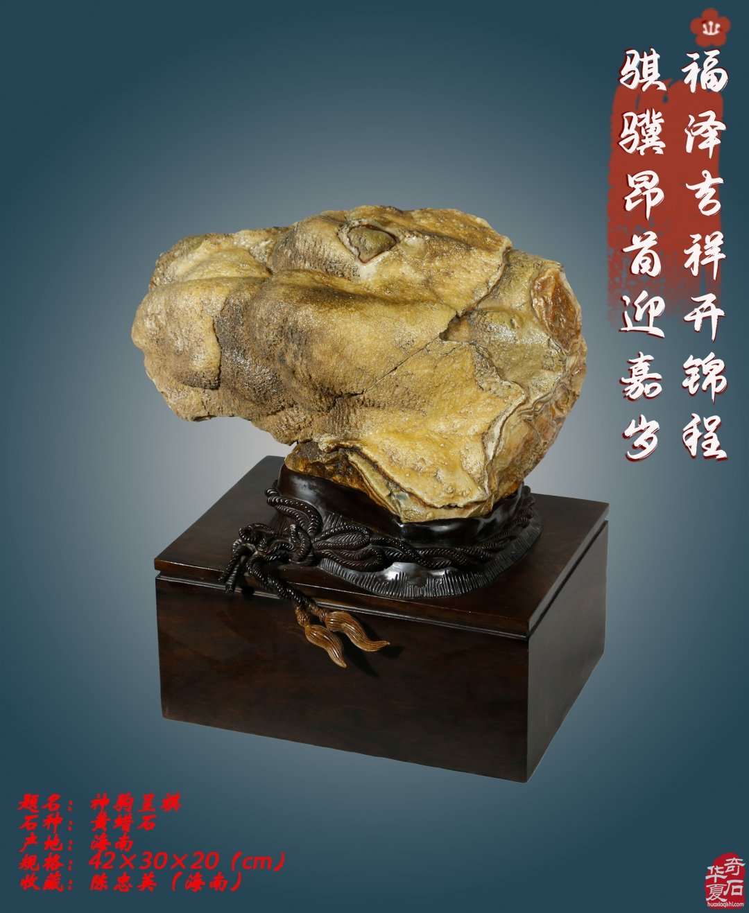 石韵骏风开新运 五骥呈祥贺锦程