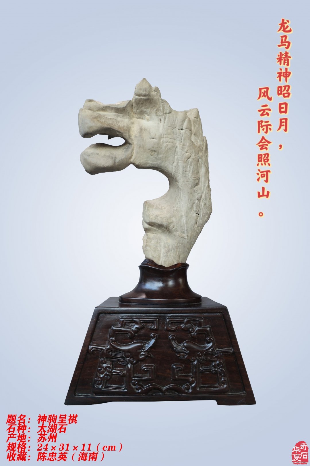 石韵骏风开新运 五骥呈祥贺锦程