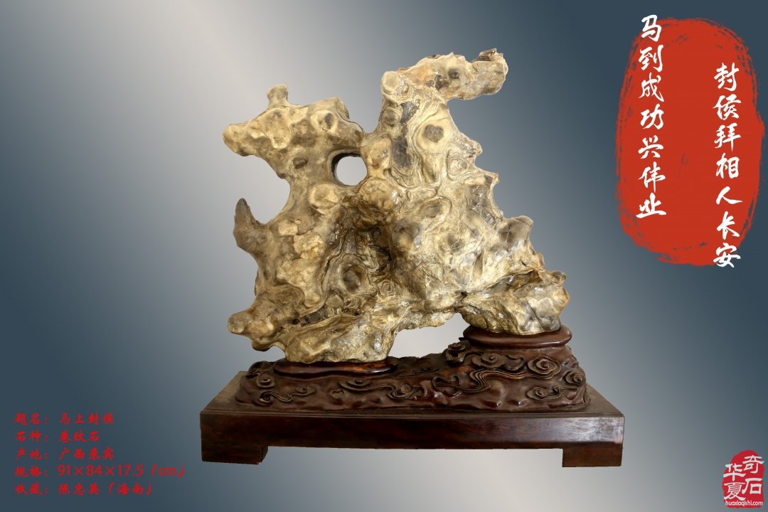 石韵骏风开新运 五骥呈祥贺锦程