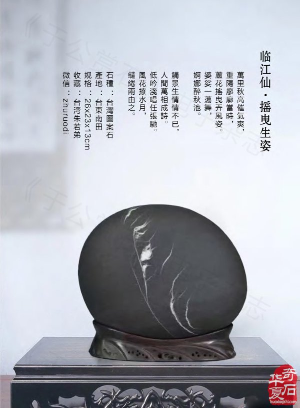 新一期《于公赏石》杂志上线马年迎春