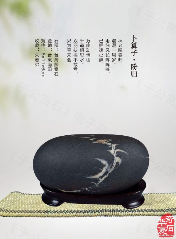 新一期《于公赏石》杂志上线马年迎春