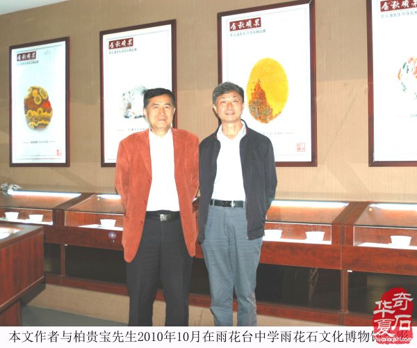 春风又绿江南岸 蝉声嘹亮颂“雨花”