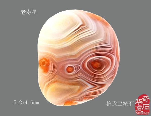 春风又绿江南岸 蝉声嘹亮颂“雨花”