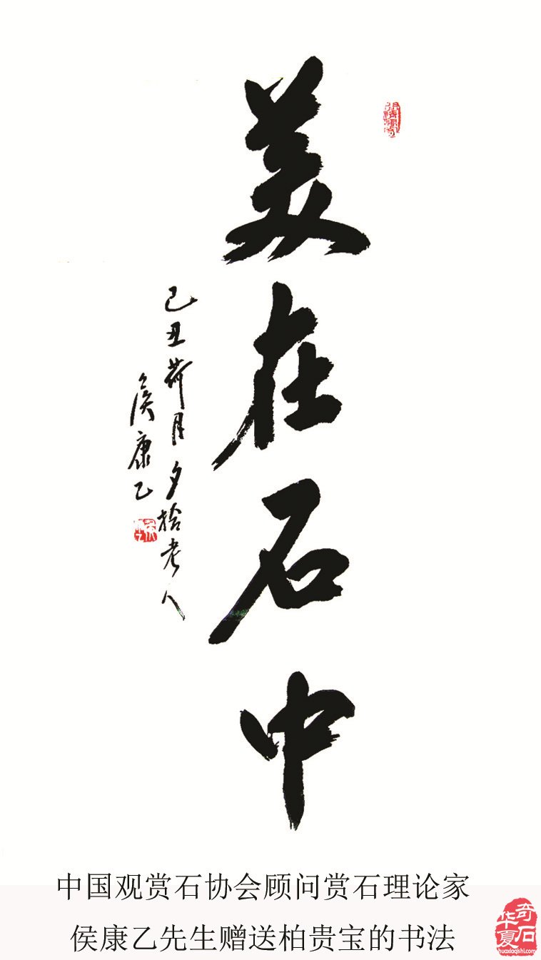 春风又绿江南岸 蝉声嘹亮颂“雨花”