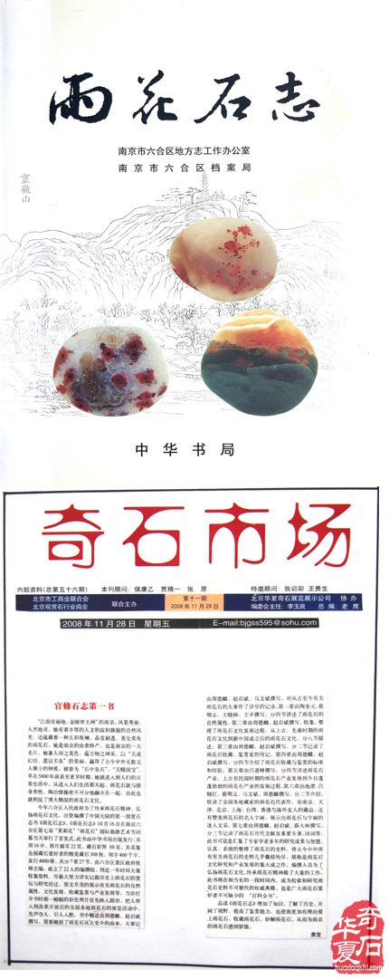 春风又绿江南岸 蝉声嘹亮颂“雨花”