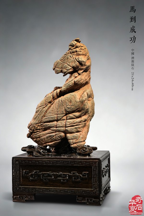 石韵迎春 文心传芳——济源纹石与藏家苏振武（上）