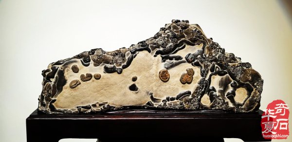 特大喜讯·陈炉石洛阳4月1日专题展重磅来袭(上)