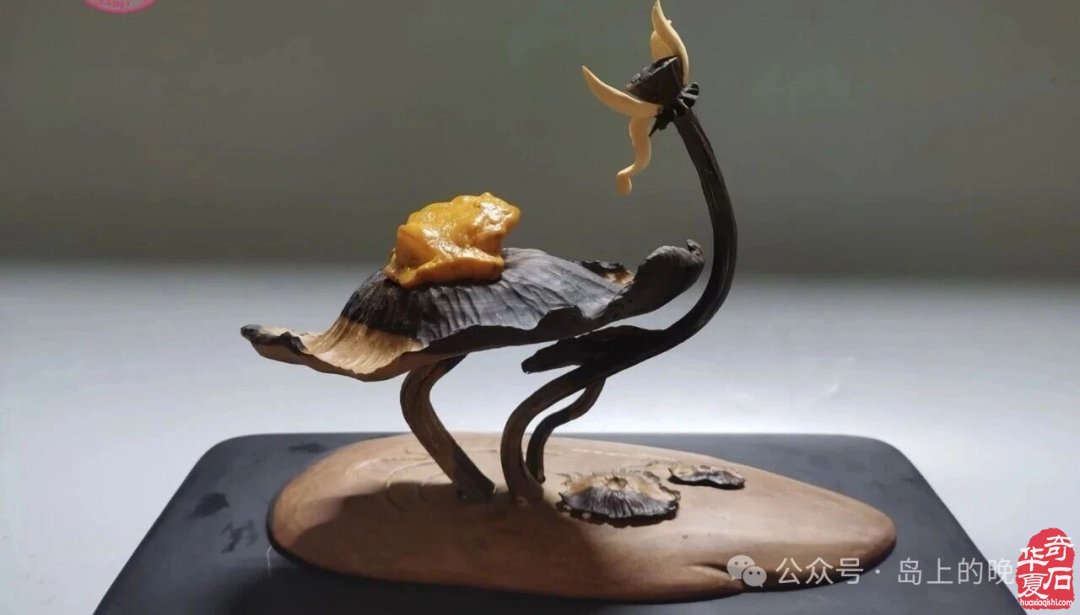 海南的疯狂石头还有前途吗