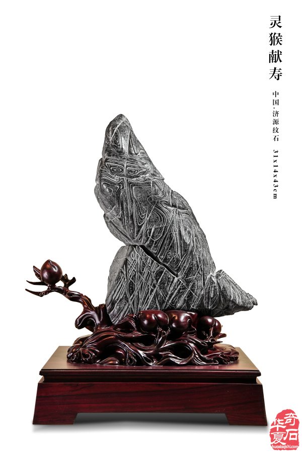 石韵迎春 文心传芳——济源纹石与藏家苏振武(下)