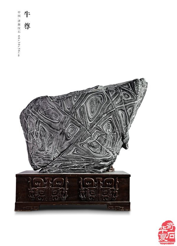 石韵迎春 文心传芳——济源纹石与藏家苏振武(下)