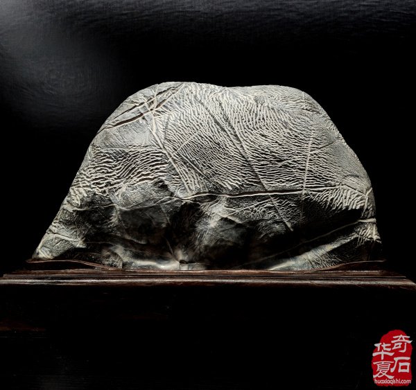 特大喜讯·陈炉石洛阳4月1日专题展重磅来袭（下）