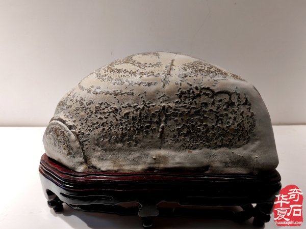 特大喜讯·陈炉石洛阳4月1日专题展重磅来袭（下）