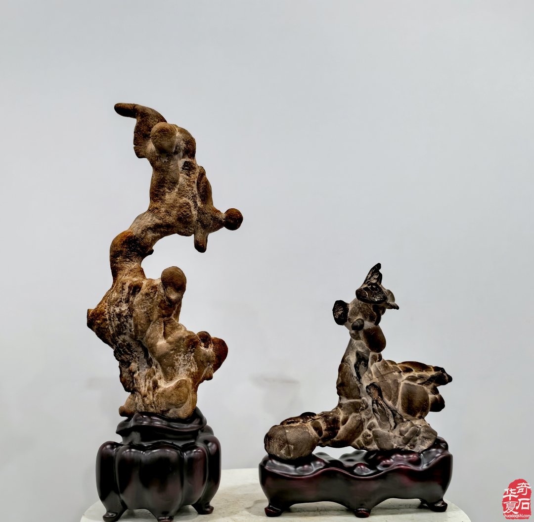 特大喜讯·陈炉石洛阳4月1日专题展重磅来袭（下）