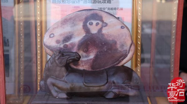 河南省观赏石协会渑池分会授牌仪式暨渑池县首届黄河奇石展