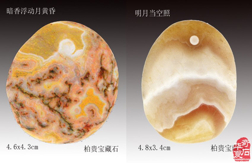 元宵:美石迷人传佳话 石不能言最可人