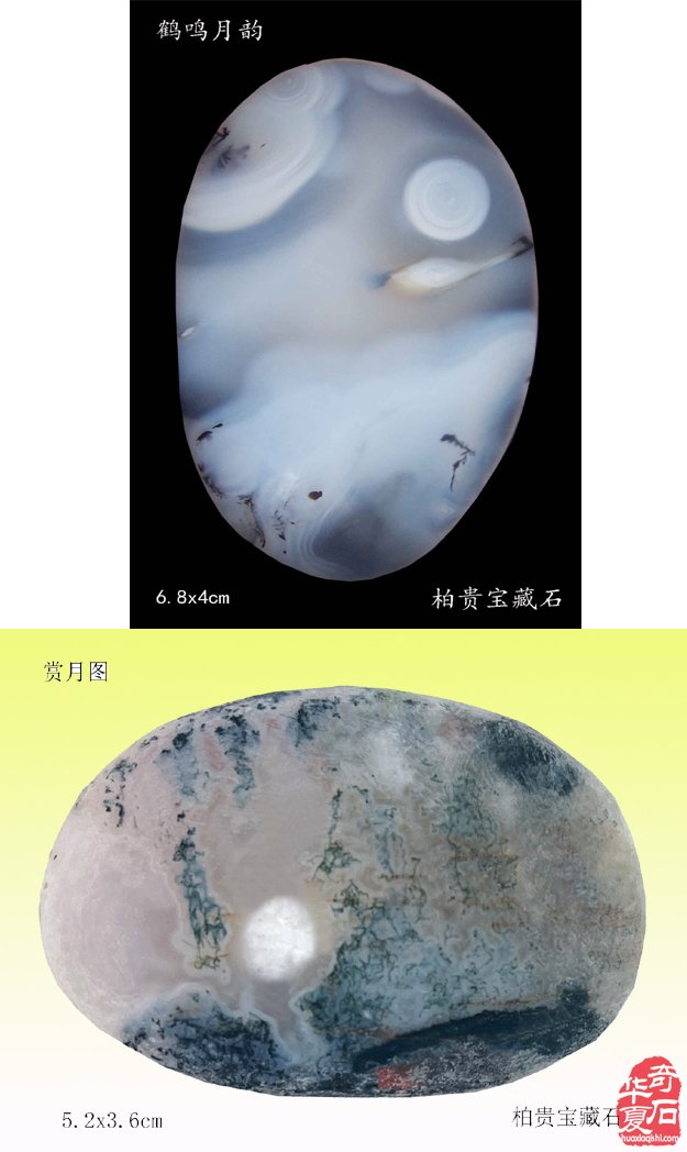 元宵:美石迷人传佳话 石不能言最可人