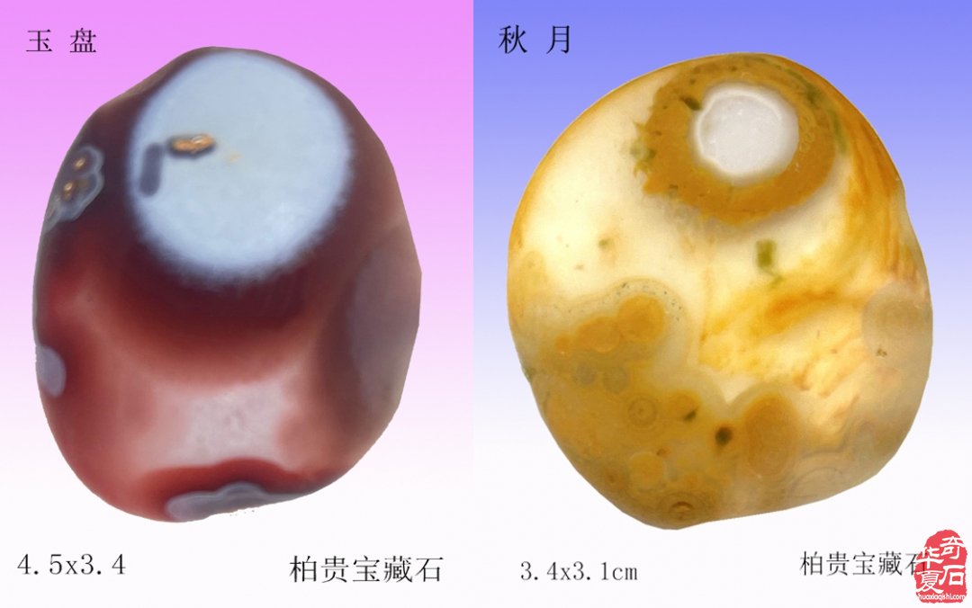 元宵:美石迷人传佳话 石不能言最可人