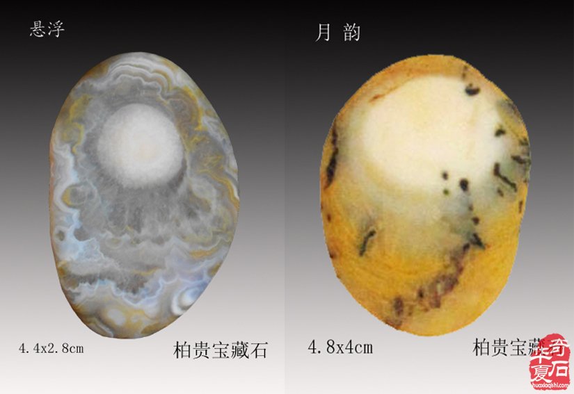 元宵:美石迷人传佳话 石不能言最可人