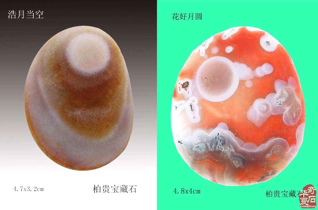 元宵:美石迷人传佳话 石不能言最可人