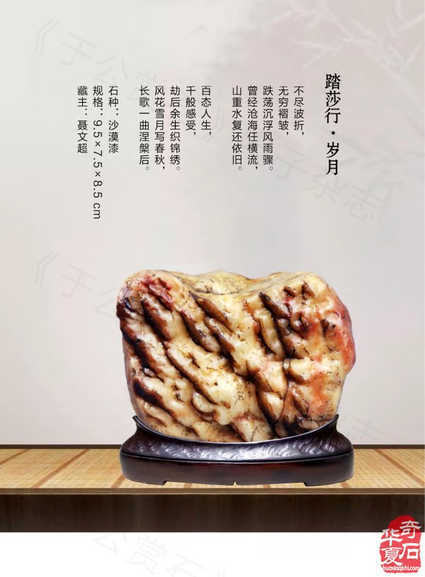 《于公赏石》奏响黄河奇石第一晨钟