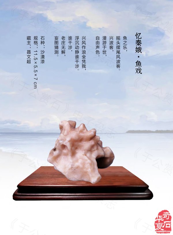 《于公赏石》奏响黄河奇石第一晨钟