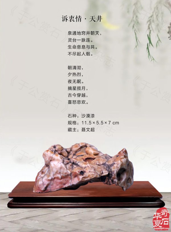 《于公赏石》奏响黄河奇石第一晨钟