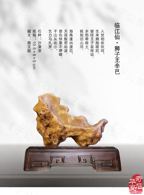 《于公赏石》奏响黄河奇石第一晨钟