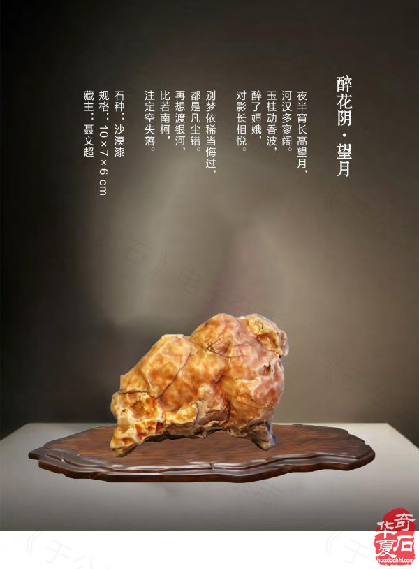 《于公赏石》奏响黄河奇石第一晨钟