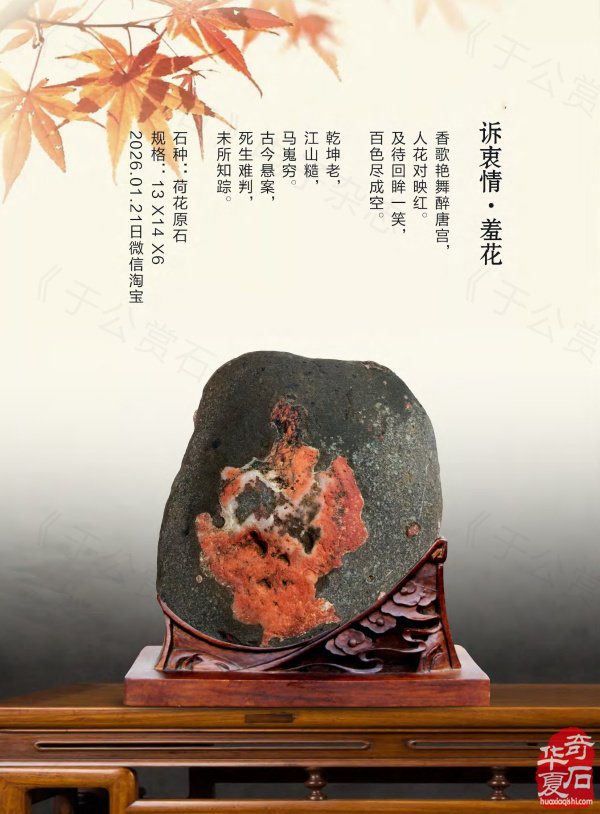 《于公赏石》奏响黄河奇石第一晨钟