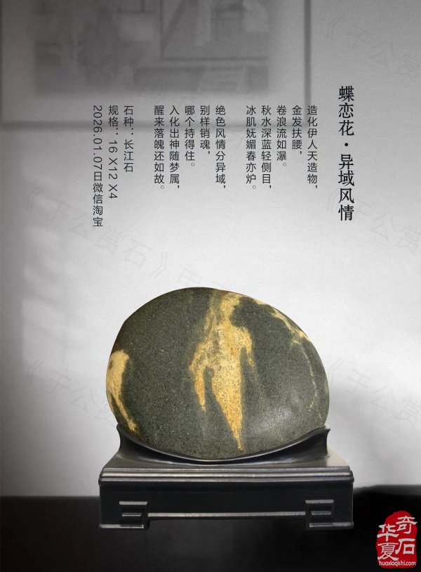 《于公赏石》奏响黄河奇石第一晨钟